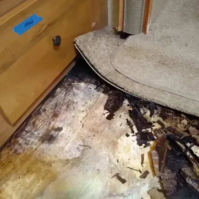 Wood Floor Water Damage in Whitmore Lake, MI